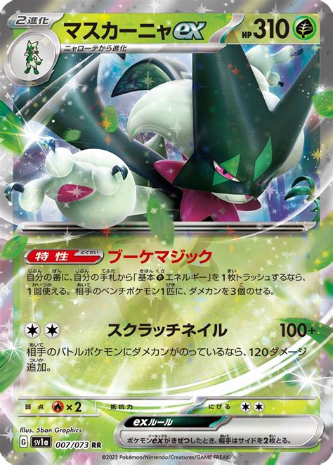 amarige serebii